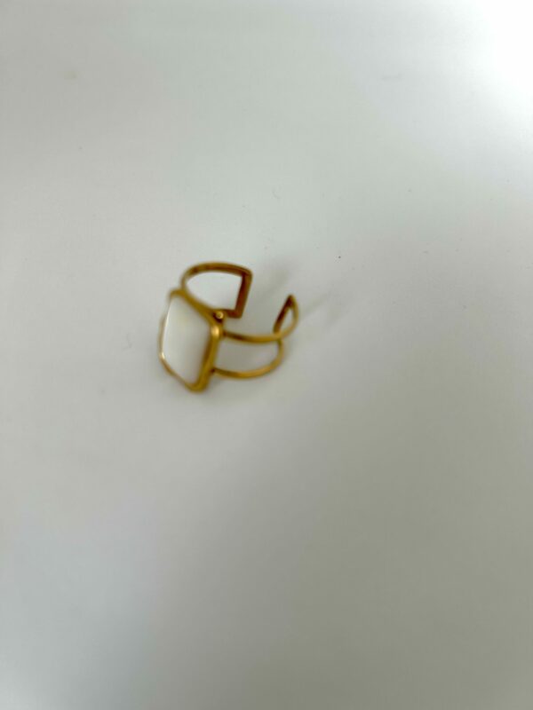 Bague ROGA 2 en Acier inoxydable couleur Or