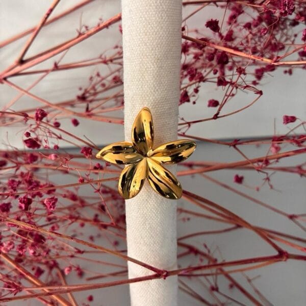 550f93aa43914b10860bdad07f808dd8tplv-t5fjg24jzw-origin-jpeg.jpeg Bague JADE en acier inoxydable 316 plaqué Or