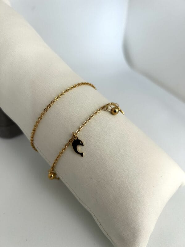 Bracelets DAUPHIN  en Acier inoxydable 316 plaqué Or