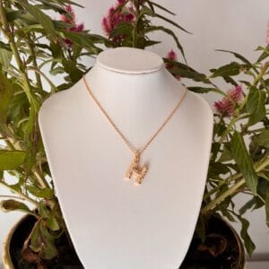 Collier HOLA en acier inoxydable plaqué Or