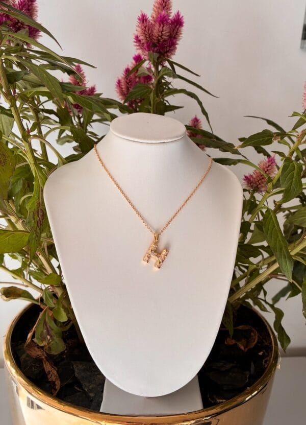 img_6921 Collier HOLA en acier inoxydable plaqué Or